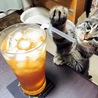 の写真