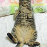 の写真