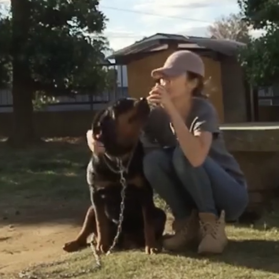 アリーのカバー写真