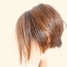 綾猫