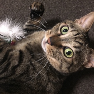 トライアル決定♡甘えんぼ☆ダミ声ちいちゃん