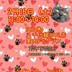 ふくねこや イオンペット里親会 サムネイル1
