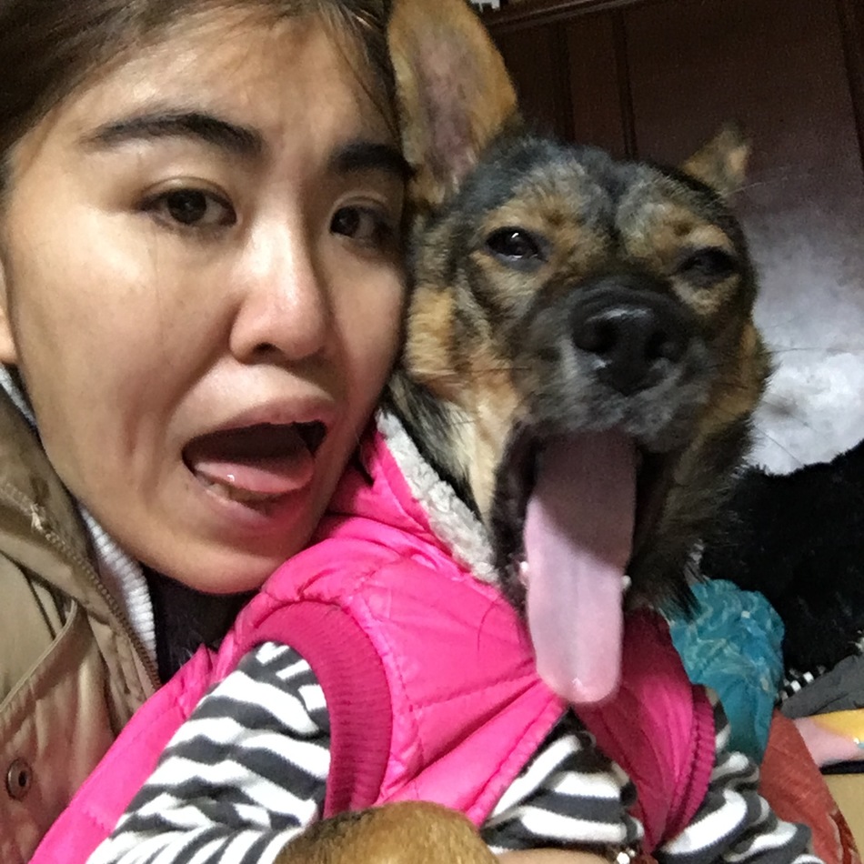 知龍（ちりゅう）のカバー写真