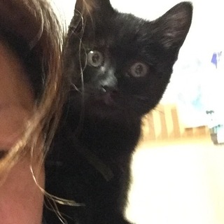 ありがとうございました