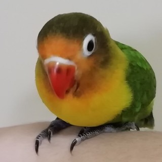 ご応募ありがとうございました