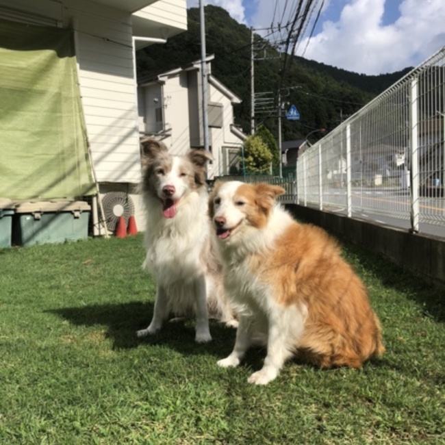 yuki330324のカバー写真