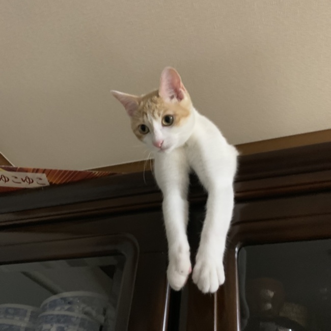 みぃ ◡̈*♡.°⑅のカバー写真