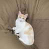 みぃ ◡̈*♡.°⑅
