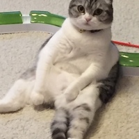 凪