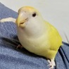齋藤勉