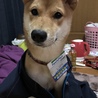 しばたです笑笑