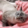 まりりりりり