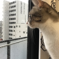 みろちゃん