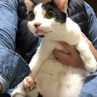 ちょっとビビりなスリごろ甘えたなボク♡