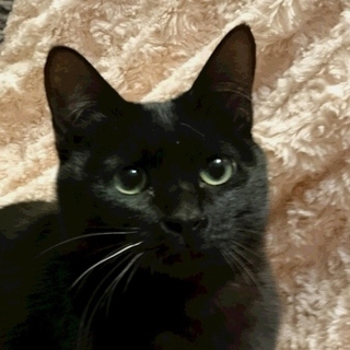 物怖じしない女の子　のぞみ