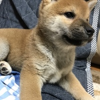 ゼロ