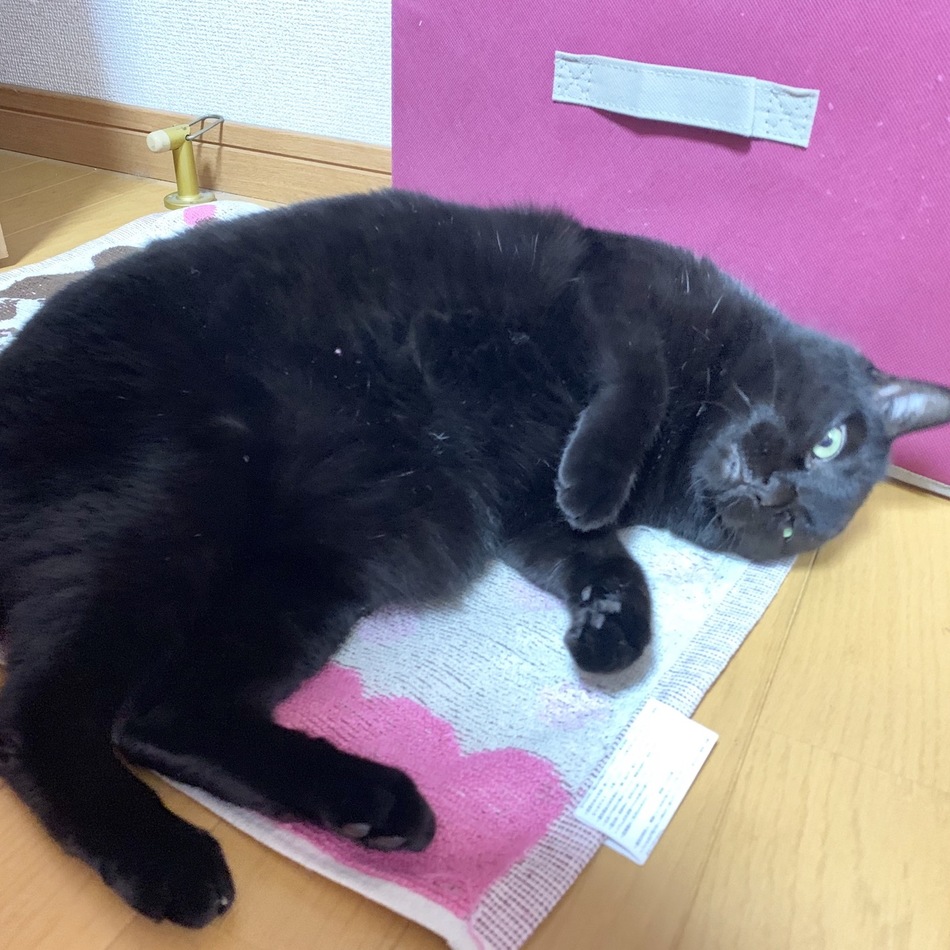直子のカバー写真