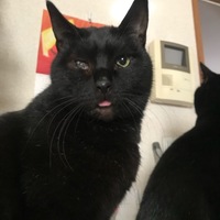 拓哉
