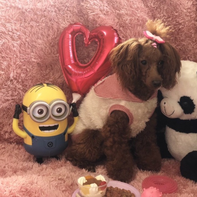 うめのののカバー写真