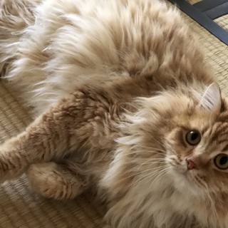 暖かいメッセージ、ご応募ありがとうございました。