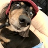 raosuke