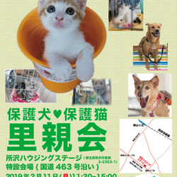 所沢ハウジングステージ里親会