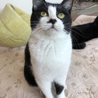 里子に出ました✨ありがとうございます！