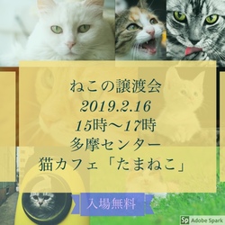 ねこの譲渡会in多摩センター