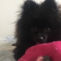 大切に育ててもらえる方