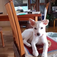 日向（ひなた）