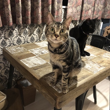 ジェイクの写真