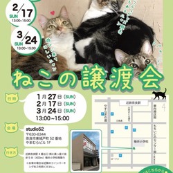 猫の譲渡会