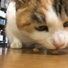 節分です。