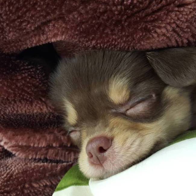 松多のカバー写真