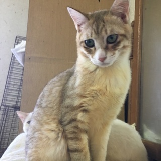 とってもハンサムなきゅうちゃんです❤