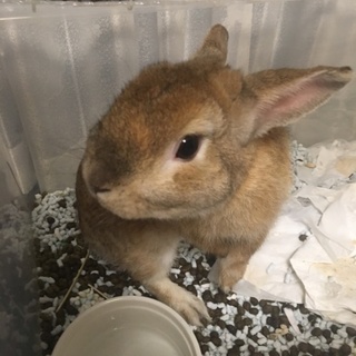 抱っこ大好きな子です！