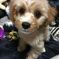 そら
