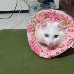 2019年お初のすみお君