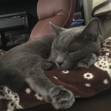 ねむねむzzz