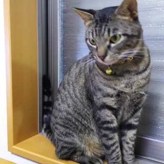 とてもあまえん坊