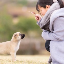 ムック王国さん主催の里親会に参加させていただきます