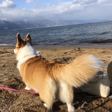 琵琶湖にお出かけ