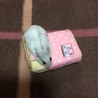 すずほの