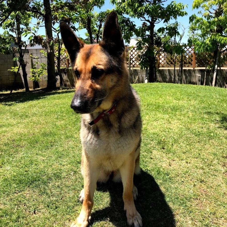 アクアのカバー写真