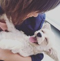 人懐っこい甘えん坊のはなちゃん３歳