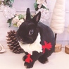クリスマスバージョン