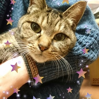 ２歳位　抱っこ大好き！鈴ちゃん！