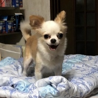 ルイ