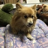 10歳ですがお転婆です（╹◡╹）