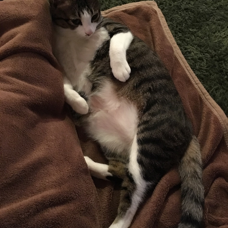 イトのカバー写真
